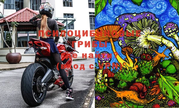 ГАЛЛЮЦИНОГЕННЫЕ ГРИБЫ Володарск