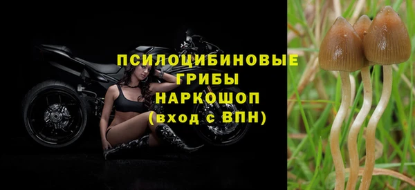 ГАЛЛЮЦИНОГЕННЫЕ ГРИБЫ Володарск