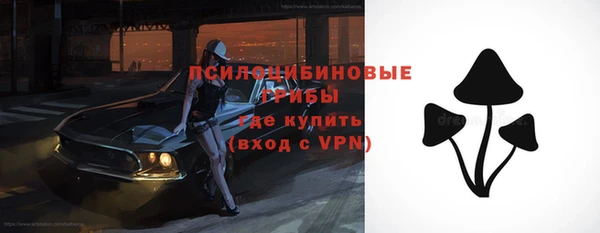твердый Вязники