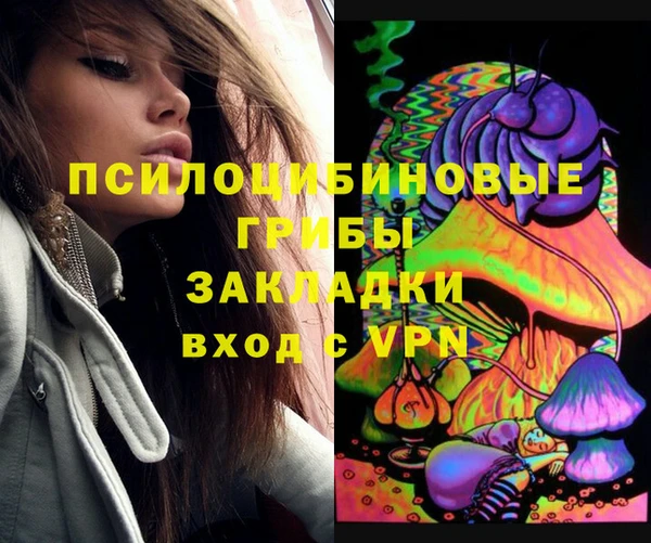 ГАЛЛЮЦИНОГЕННЫЕ ГРИБЫ Володарск